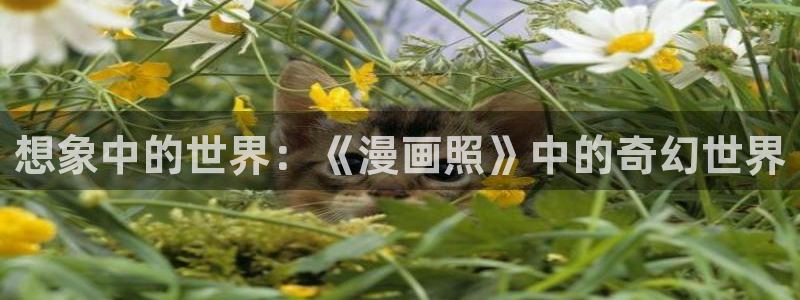韩漫画大全在线观看免费