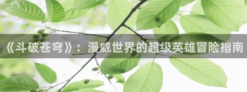 好用的韩漫画app推荐：《斗破苍穹》：漫威世界的超级英雄冒险指南