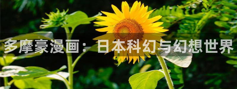 韩漫在线观看动漫：多摩豪漫画：日本科幻与幻想世界