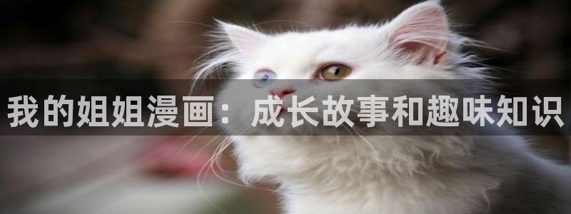 韩漫嘿嘿漫画在线观看：我的姐姐漫画：成长故事和趣味知识