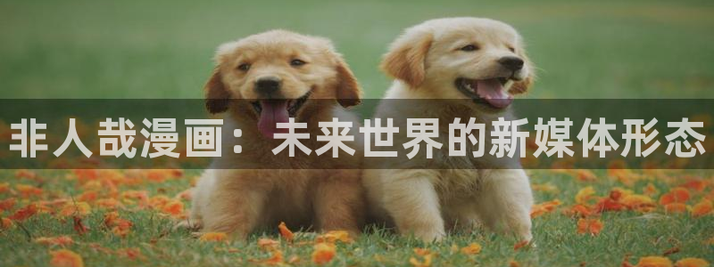 韩漫社韩漫黄色入口