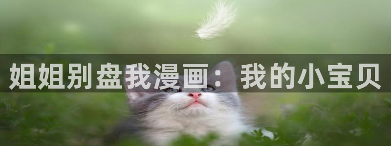 免费漫画韩漫下拉式：姐姐别盘我漫画：我的小宝贝
