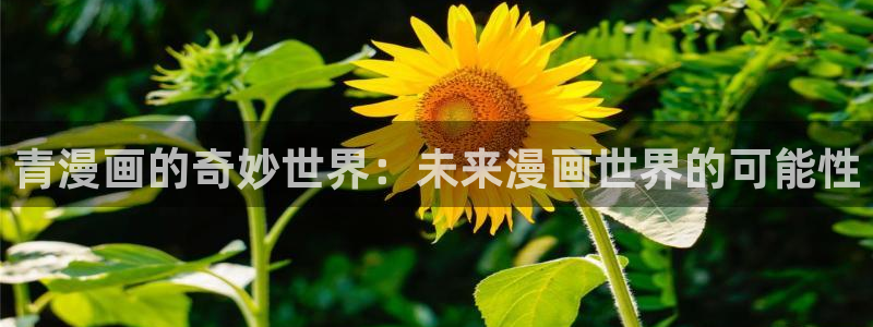 韩漫高凰漫画免费观看：青漫画的奇妙世界：未来漫画世界的可能性