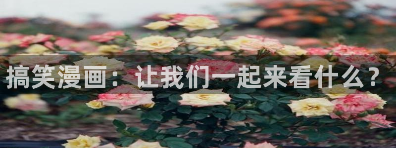 韩漫无删减免费漫画大全：搞笑漫画：让我们一起来看什么？