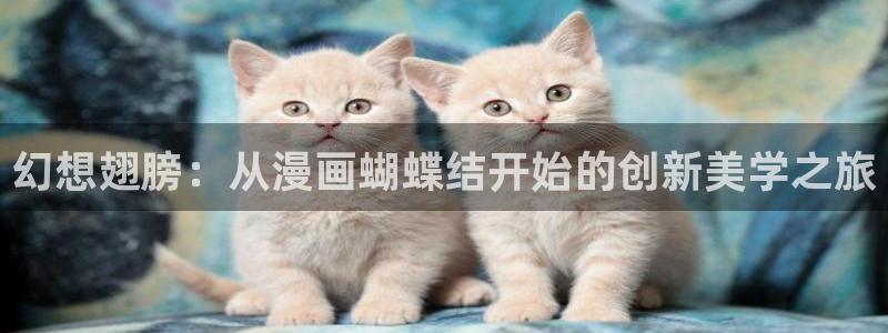 可以看韩漫画的免费软件有哪些：幻想翅膀：从漫画蝴蝶结开始的创新美学之旅