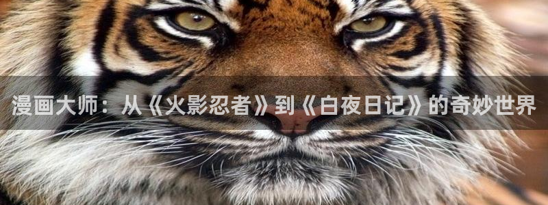 好看的韩漫免费：漫画大师：从《火影忍者》到《白夜日记》的奇妙世界