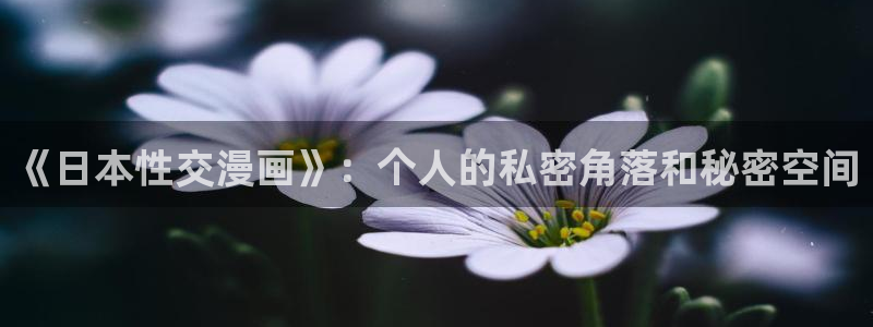 韩漫社歪歪漫画：《日本性交漫画》：个人的私密角落和秘密空间