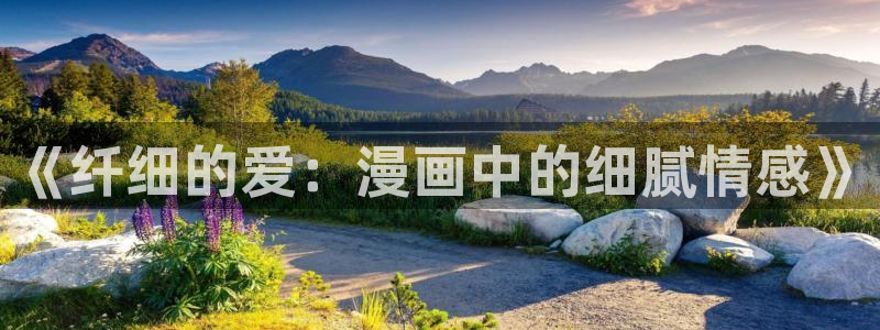 免费破解韩漫画app哪款：《纤细的爱：漫画中的细腻情感》